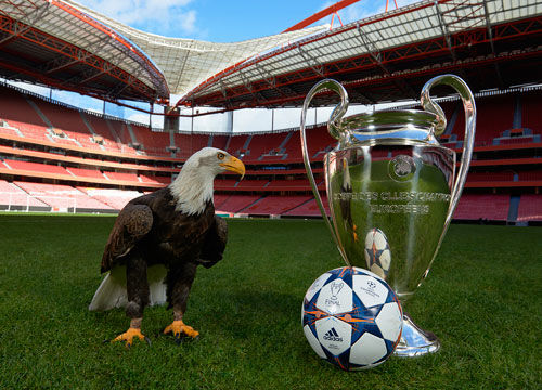 半透明伪装 半透明伪装