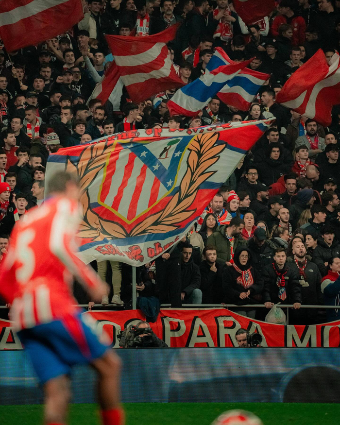 球终结与弱 球终结与弱